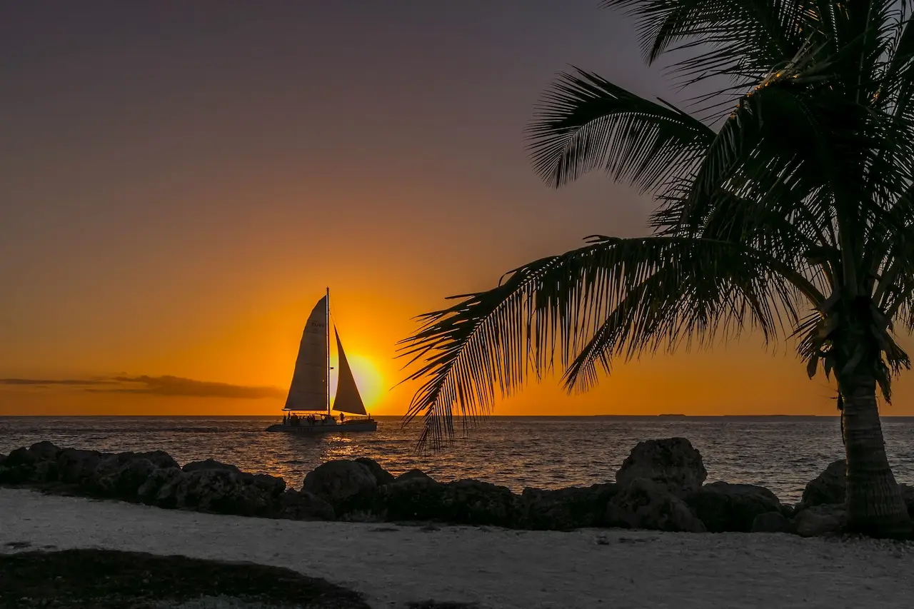 Sailboat crossing the ocean at sunset framed by palm trees along a tropical Florida shoreline.